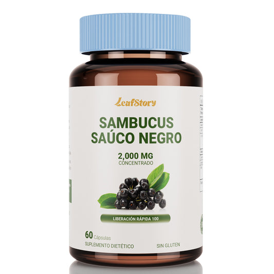 Leafstory Blackberry Capsules | 60 Count | Super Concentrated Sambucus Extract | Gluten-Free Supplement