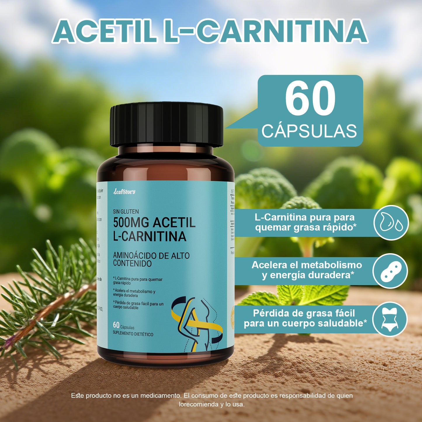 LeafStory Acetyl L-Carnitine 500 mg, High Potency Amino Acid, 60 Capsules