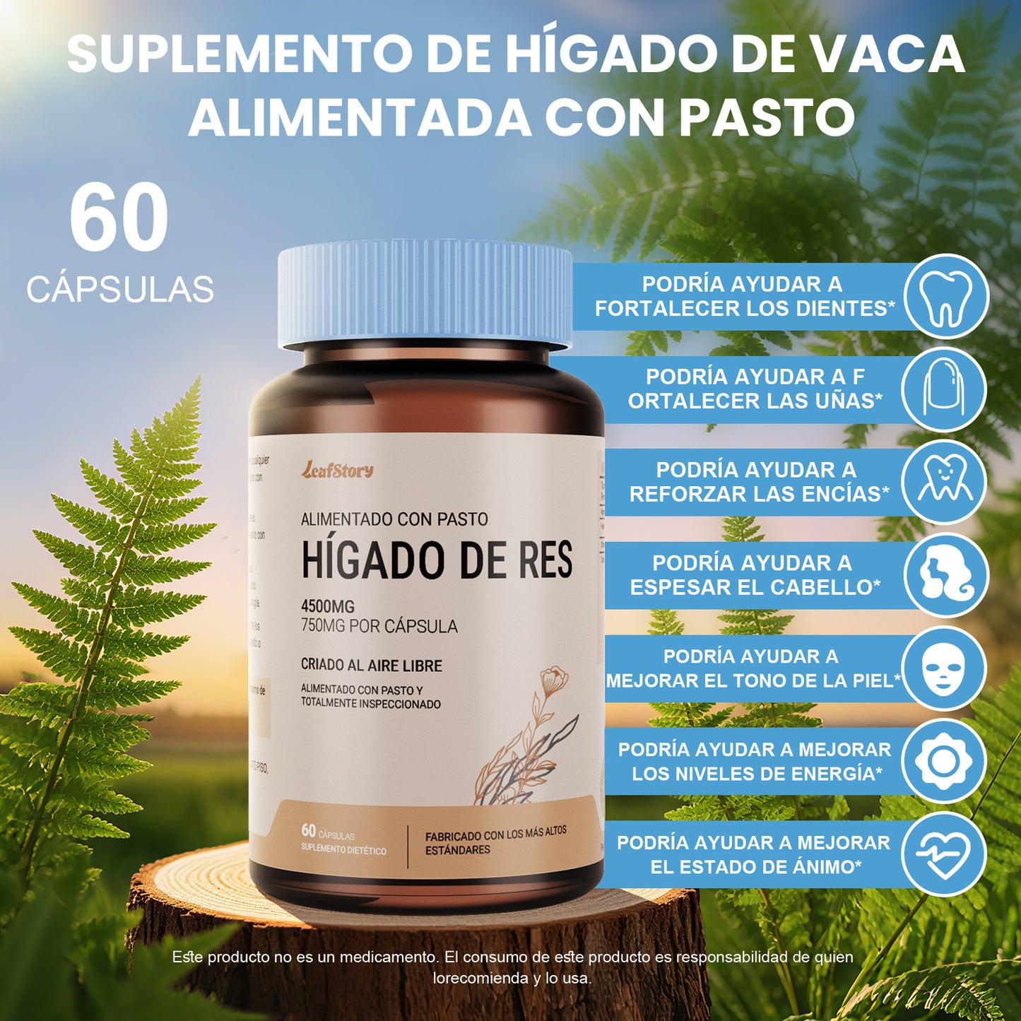 Leafstory Grass Fed Dried Beef Liver Capsules (60 Capsules, 750mg Each) - Natural Iron, Vitamin A & B12 for Energy - Made Unfatted in New Zealand - Hormone & Chemical Free.