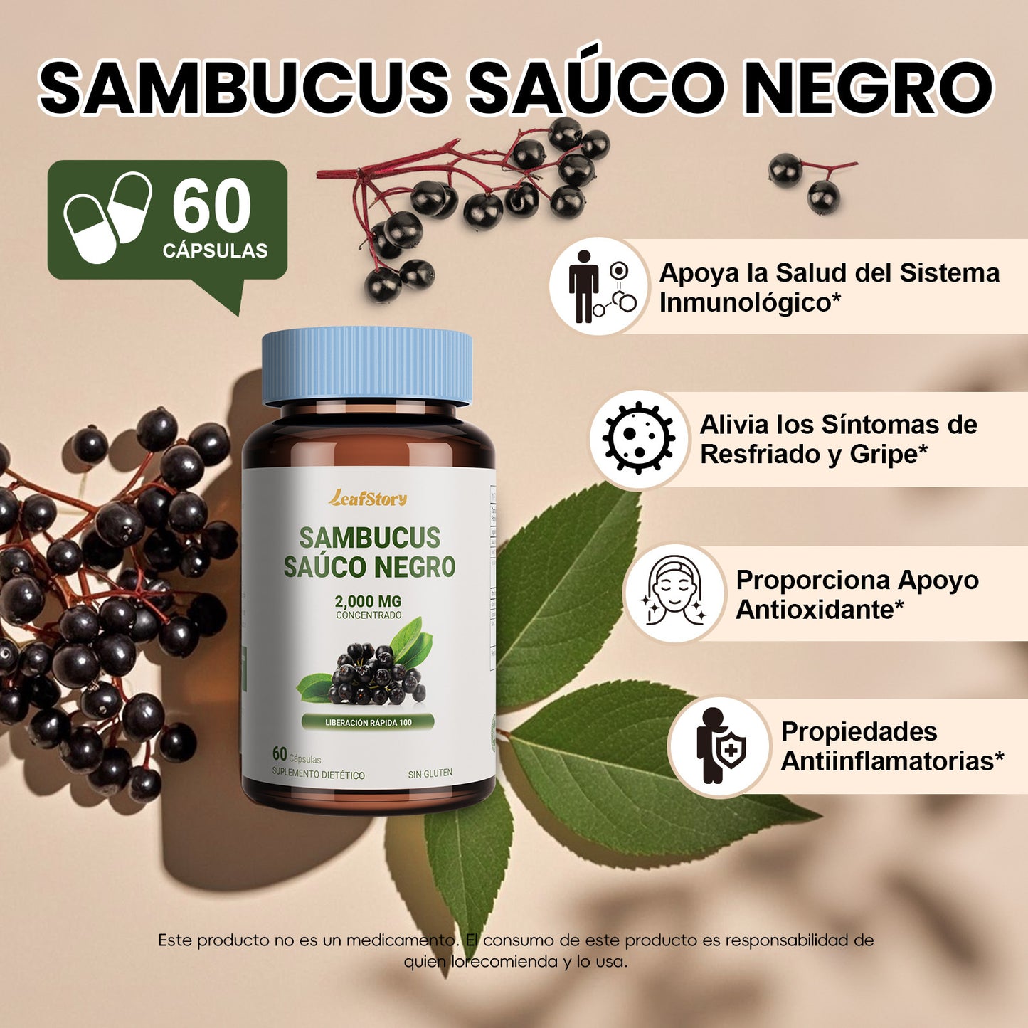 Leafstory Blackberry Capsules | 60 Count | Super Concentrated Sambucus Extract | Gluten-Free Supplement