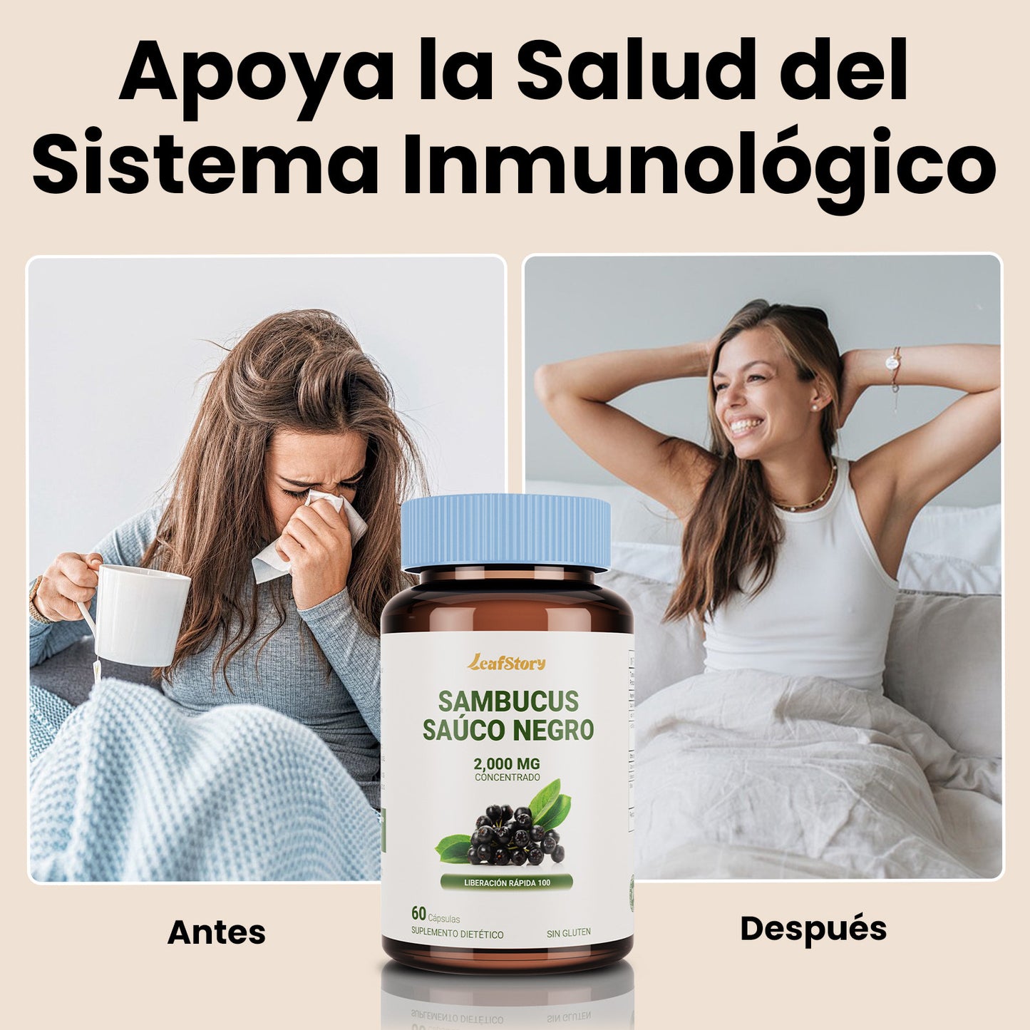 Leafstory Blackberry Capsules | 60 Count | Super Concentrated Sambucus Extract | Gluten-Free Supplement