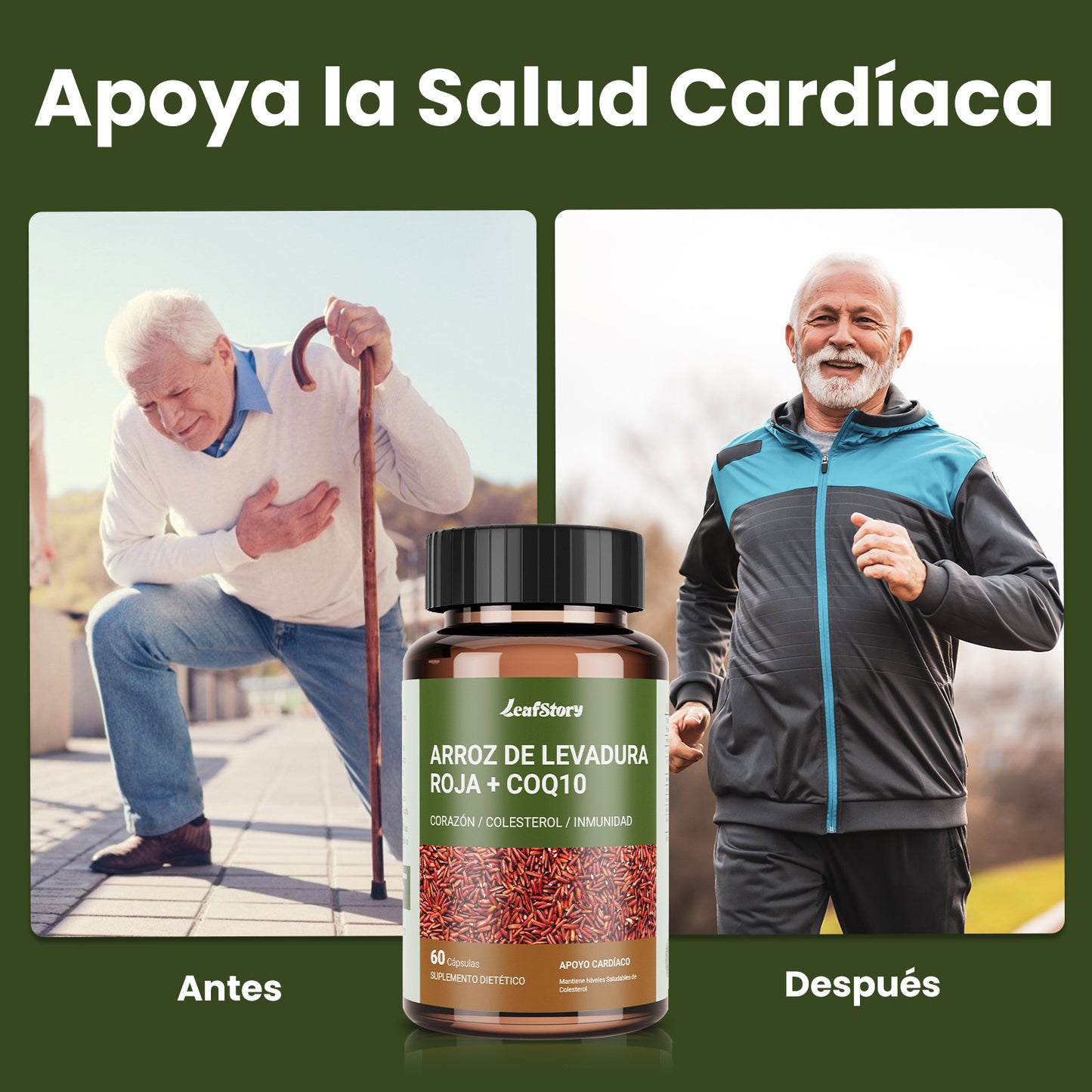 Leafstory Red Yeast Rice Supplement with CoQ10 - Advanced Formula for a Healthy Heart and Healthy Cholesterol Levels for Men and Women - Extra Strength Capsule with 1200mg of Red Yeast Rice and CoQ10 - 60 Count