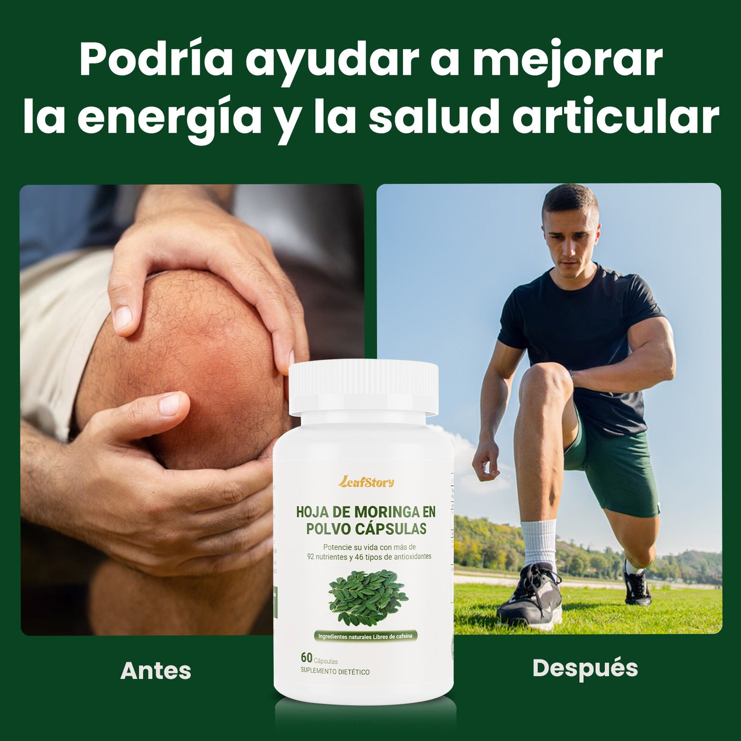 Leafstory Moringa Capsules. Single-Origin Moringa Powder. Pure Moringa Leaf. Boosts Energy, Metabolism, and Immune System. 60 500mg Capsules.