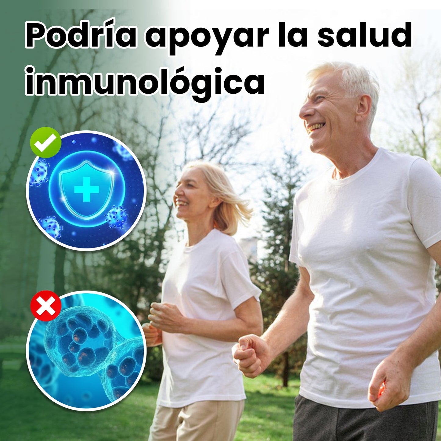 Leafstory Moringa Capsules. Single-Origin Moringa Powder. Pure Moringa Leaf. Boosts Energy, Metabolism, and Immune System. 60 500mg Capsules.