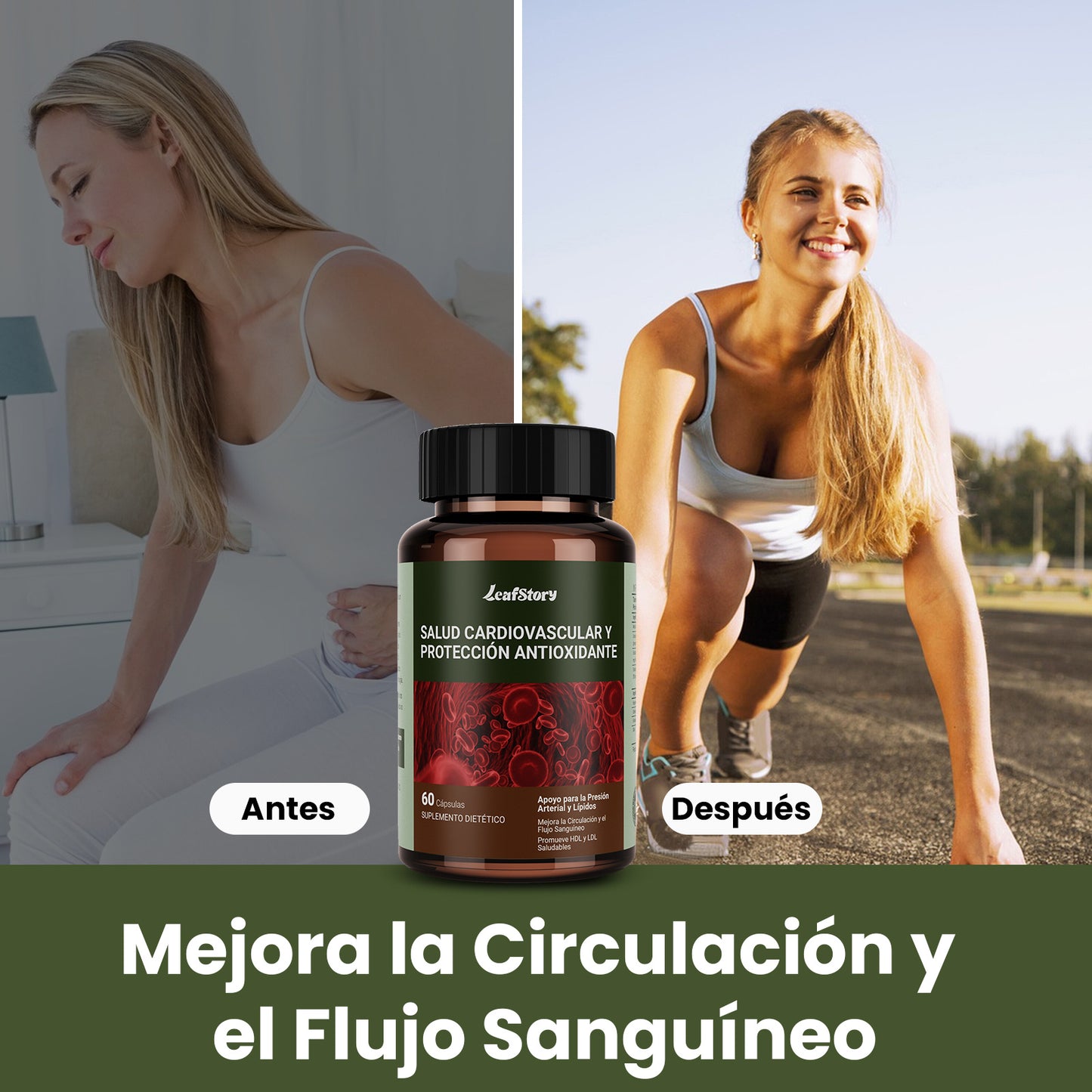 LeafStory Heart Health Supplement: Three clinically studied Mediterranean antioxidant extracts. Supports circulatory health, cholesterol, and blood pressure (60 capsules).